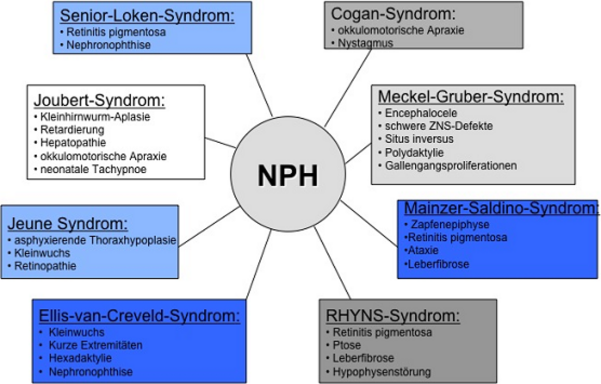 assoziierte-syndrome